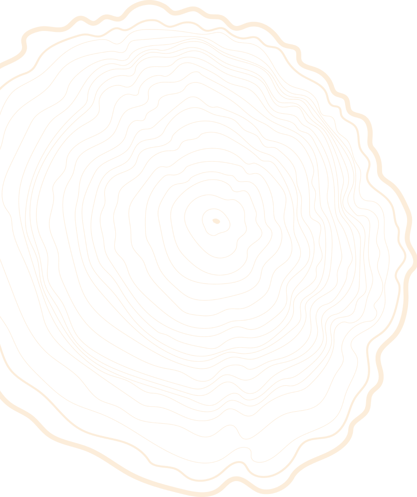 tree trunk