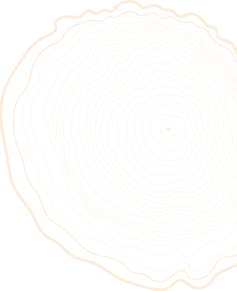tree trunk